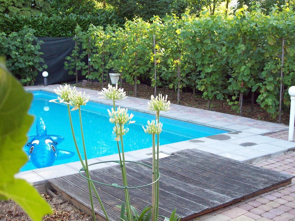 Vakantie Appartementen Engelen Stevensweert Экстерьер фото